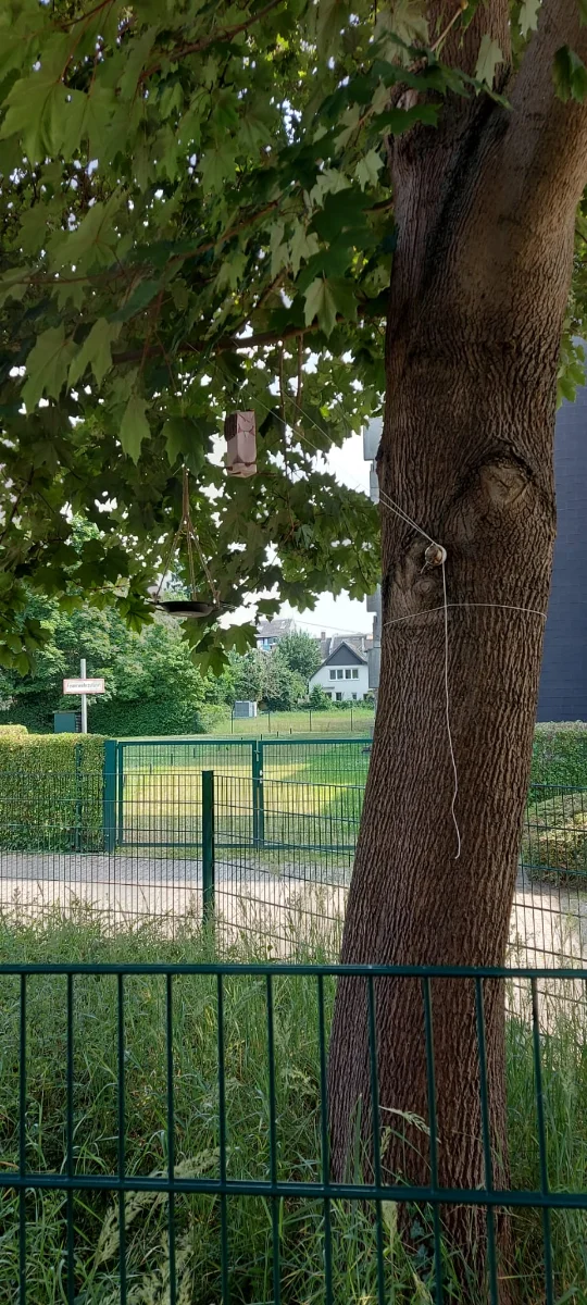 Baum Futter und Traenke.webp