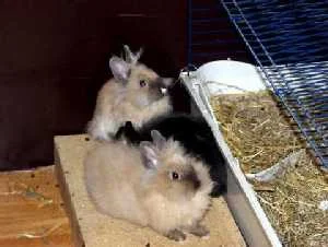 ... bei der Wärme am schönsten