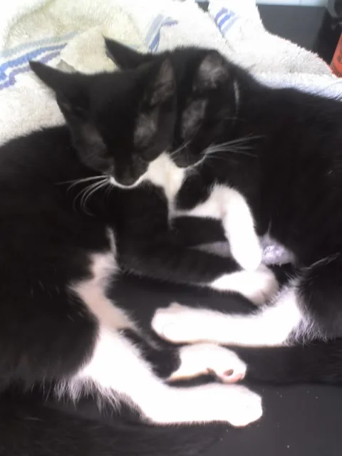 Beide beim kuscheln und schlafen