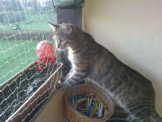 ..beim Vögel beobachten ..