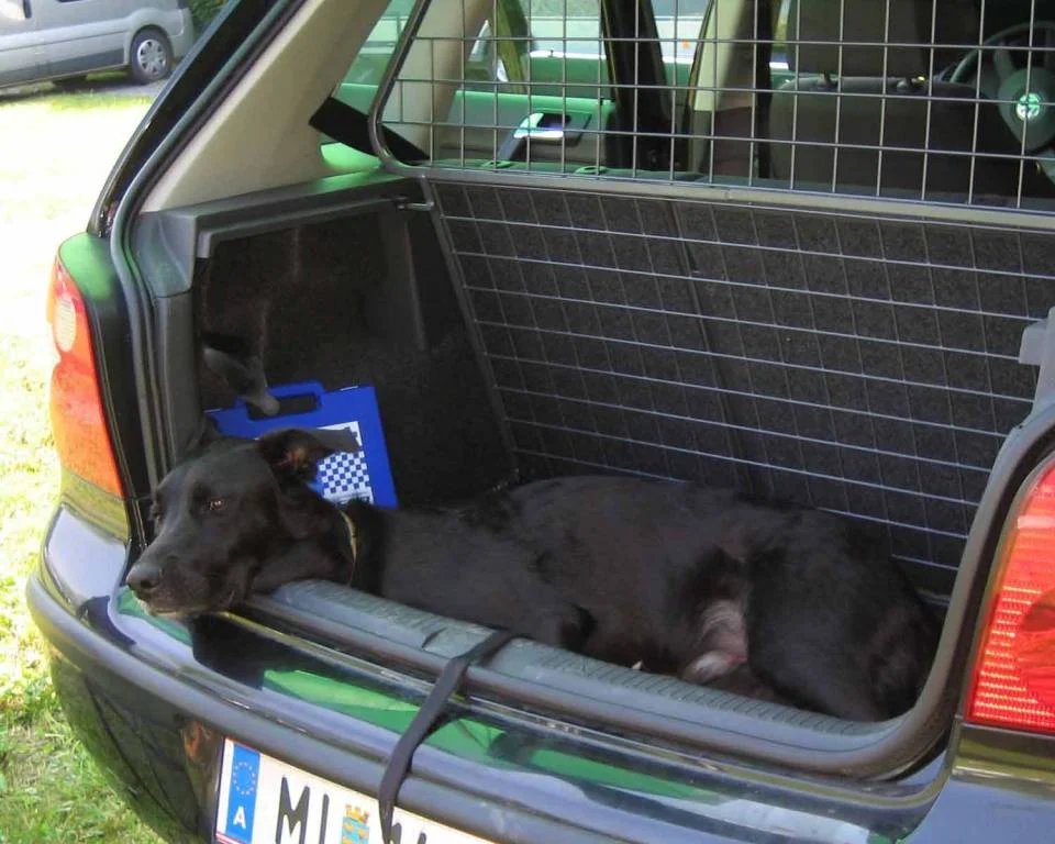 Bequem im Kofferraum?!