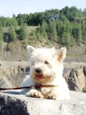 Bergsteigen ist nix für mich