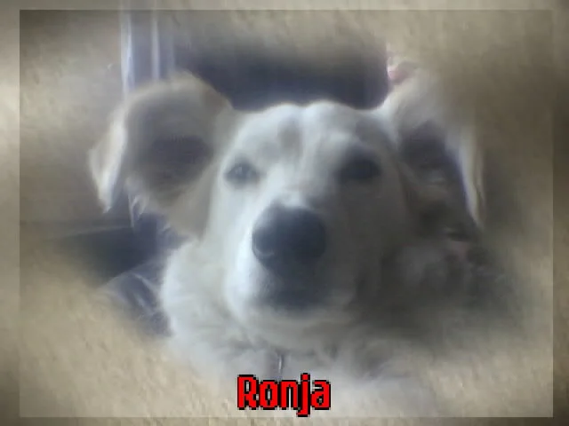 bilder 2007 u. 2008 001.jpg