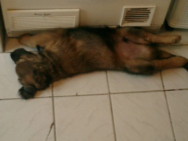 Bin ich müüüüüüüde