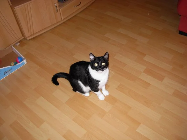 Bin ich nicht schön