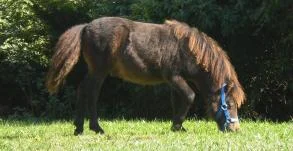 Bonito 26.09.09 2.jpg