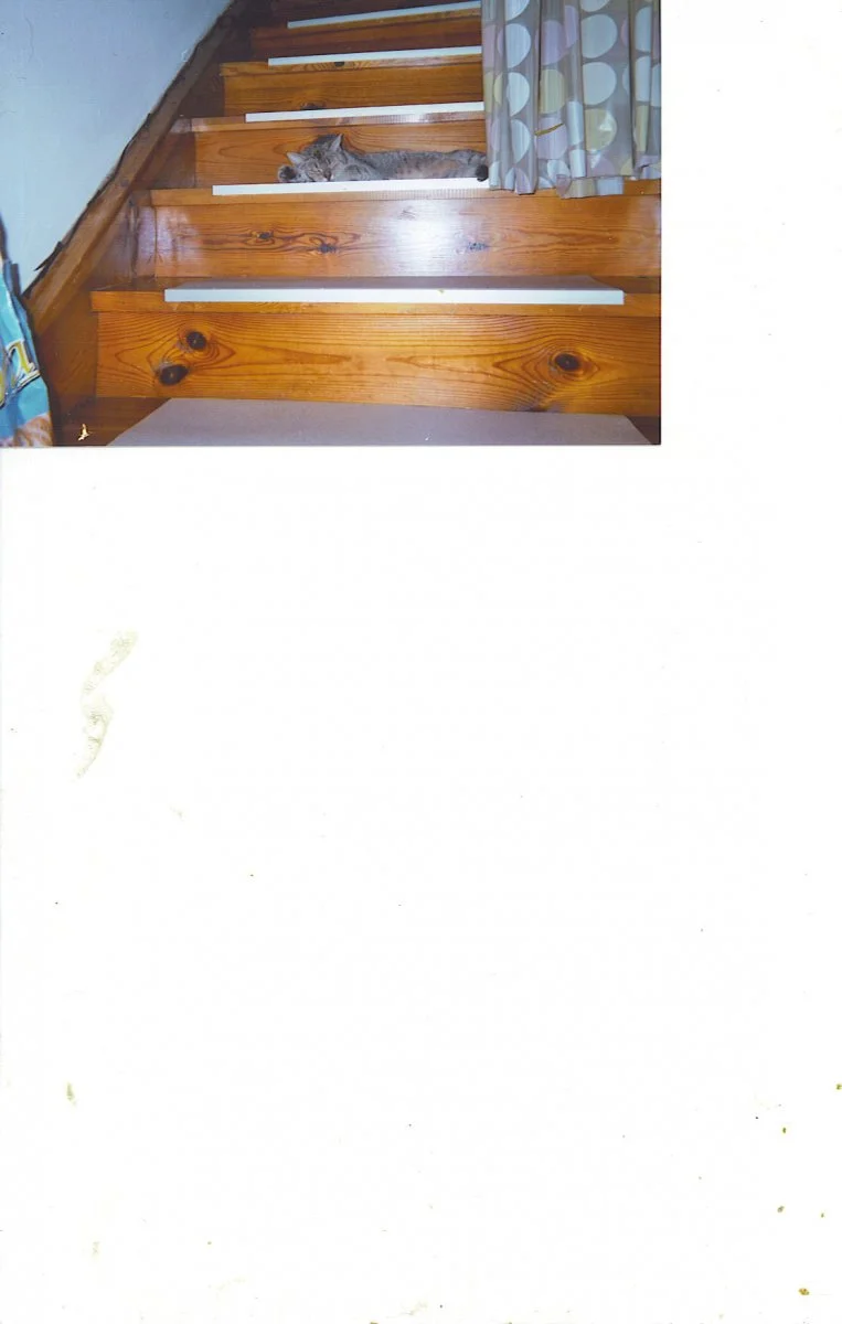 celin neues haus 2015.jpg