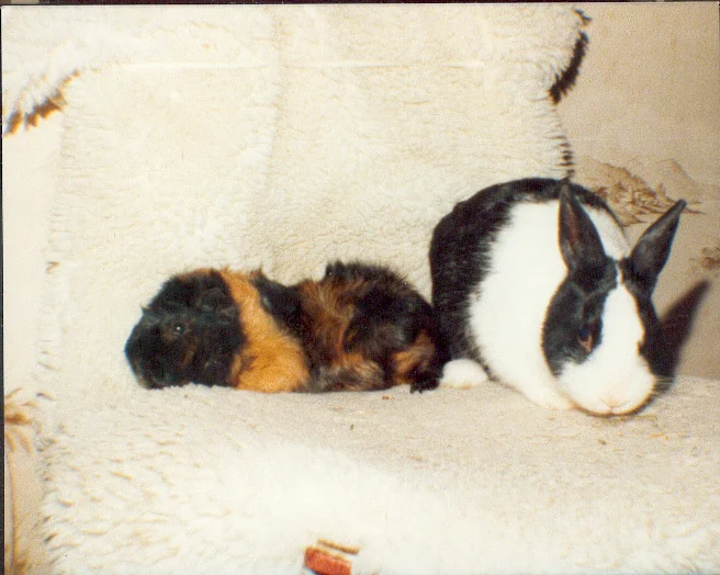 Cesare & Murmel    01.1989.jpg