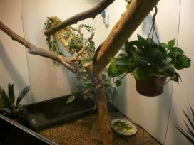 CIMG0670 (Medium).jpg