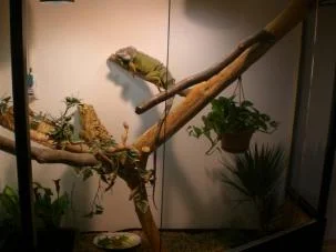 CIMG0673 (Medium).jpg