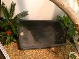 CIMG0681 (Medium).jpg