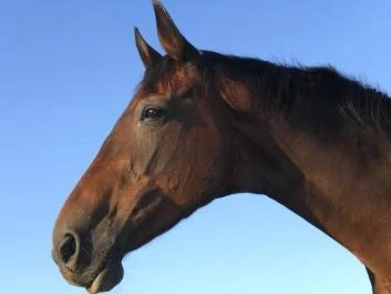 CIMG1224 - Kopie.jpg