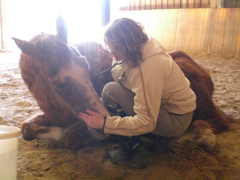 CIMG8485 - Kopie.jpg