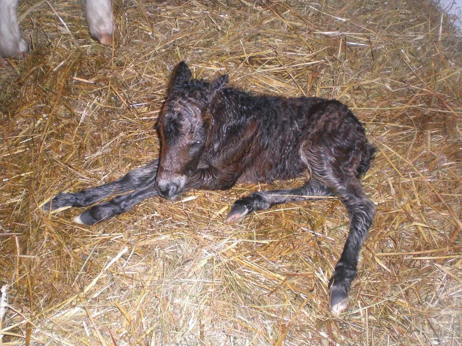 CIMG8590 - Kopie.jpg