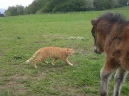 CIMG9522 - Kopie.jpg