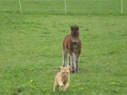 CIMG9545 - Kopie.jpg