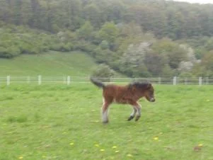 CIMG9578 - Kopie.jpg