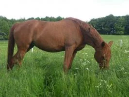 CIMG9794 - Kopie.jpg