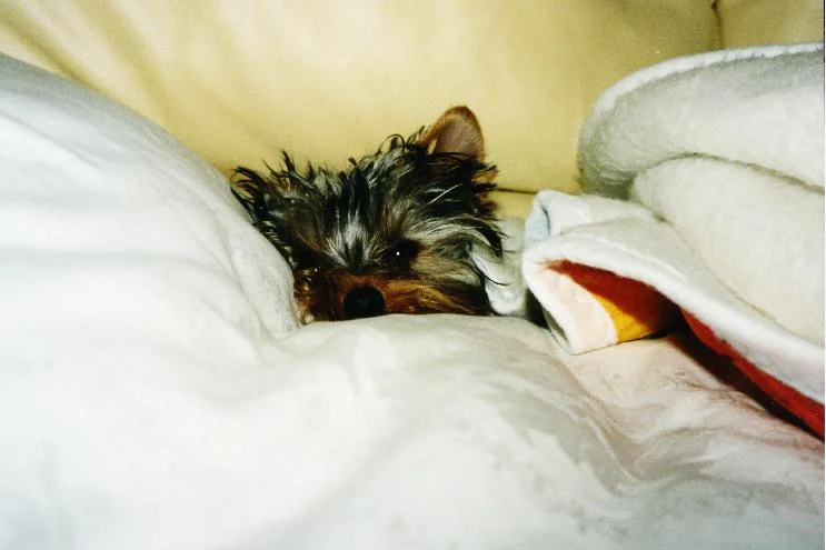 Da ist aber jemand müde : )