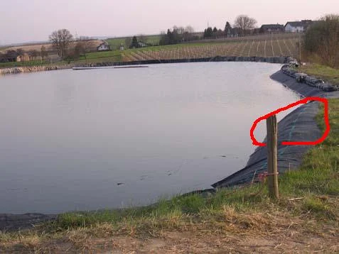 Da ist Rusty reingerutscht.