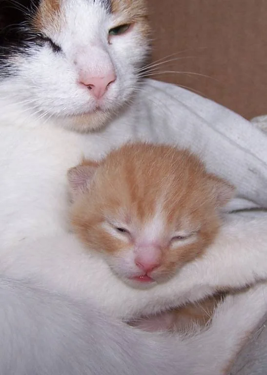 ...dann riskier ich mal nen kleinen Blick