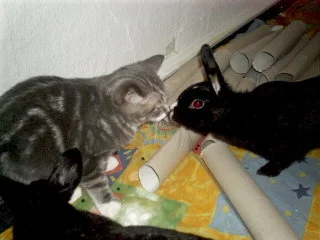 das erste kennenlernen