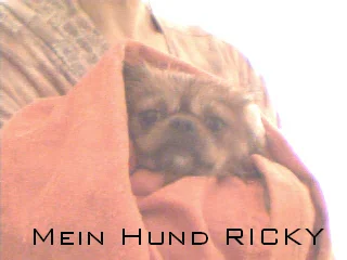 das is mein hund riki.nach dem Baden. :-P