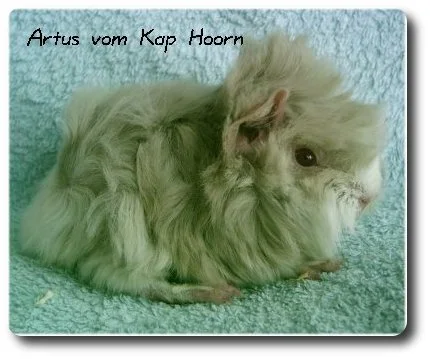 Das ist Artus ein Peruaner Baby