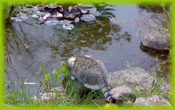 Das Wasser schmeckt!