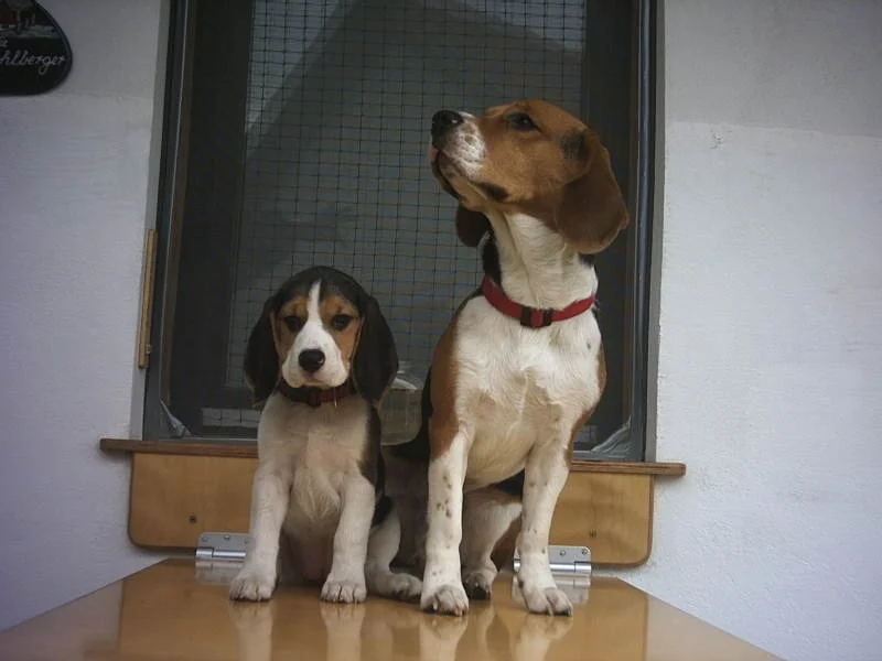 'den alten Sack ignorier ich einfach.....'