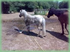 Der Bauch muss auch, Co möchte auch mal!.jpg