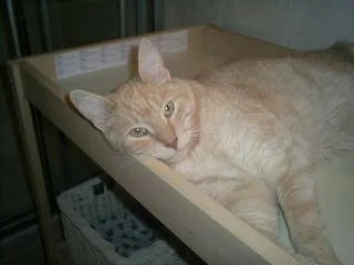 Der Wickeltisch gehört mir!