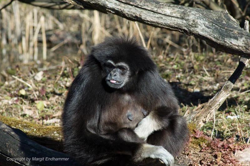 Die ersten Sonnenstrahlen geniessen...