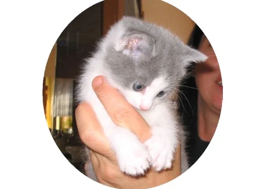 die Unschuld in "Person"...