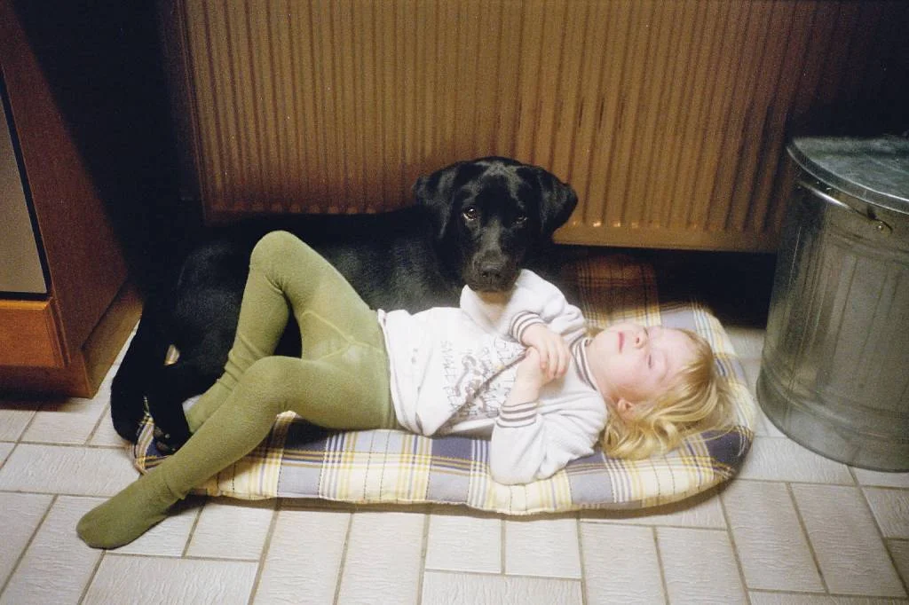 Die zwei Unzertrennlichen