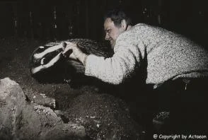 Diggi hat eine Neuigkeit_02.jpg