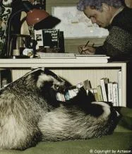 Diggi hat eine Neuigkeit_03.jpg