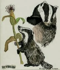 Diggi hat eine Neuigkeit_07.jpg