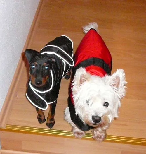 Dira und Elli schick.jpg