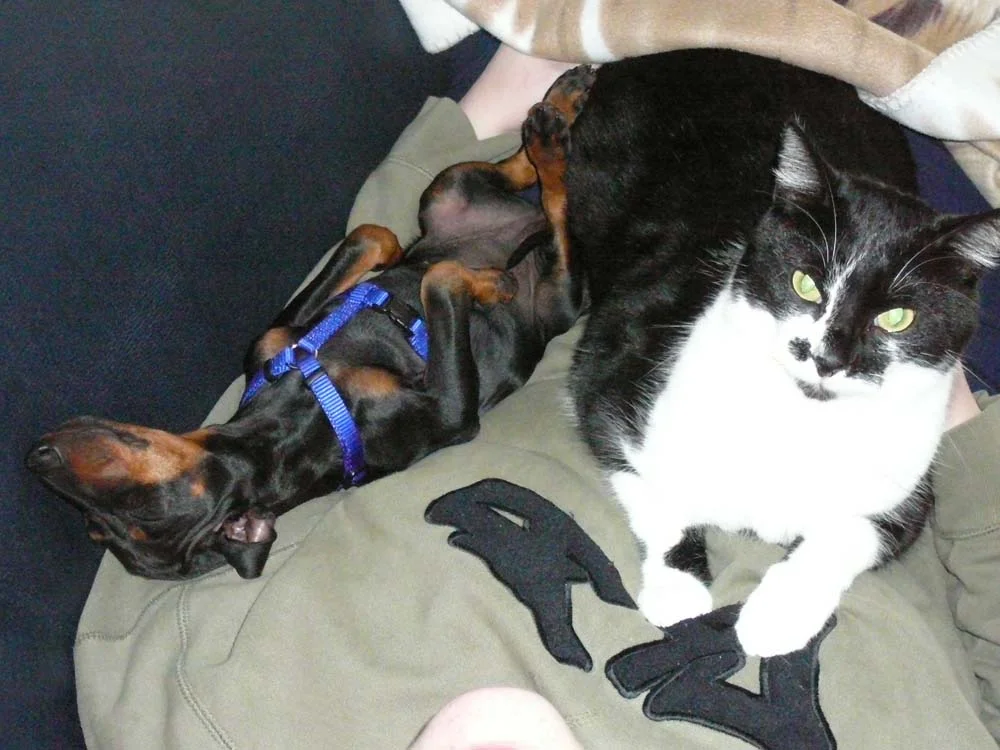 Dira und Olli auf mir.jpg