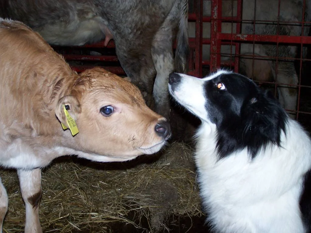 du siehst aber komisch aus