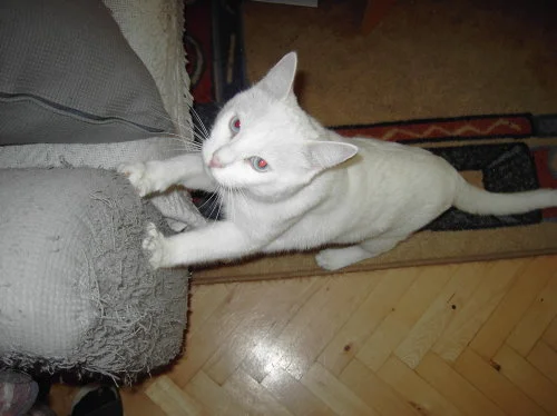 Du siehst mich eh nicht, oder?