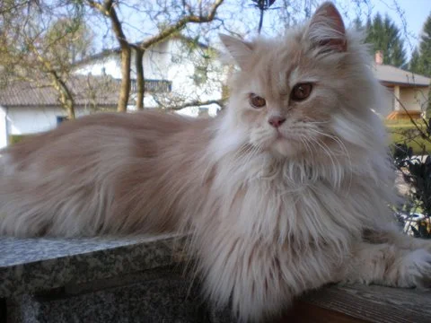 egon, könig der perser ;o)