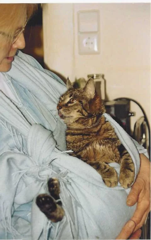 Ein Hochgenuß nicht trapseln zu müssen