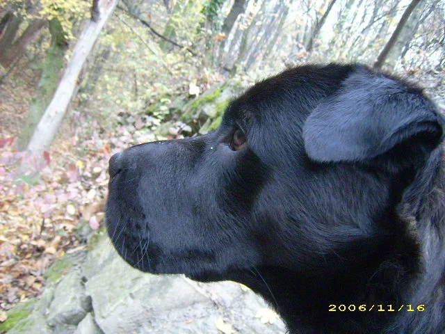 ein schönes seitenprofil kann auch entzücken