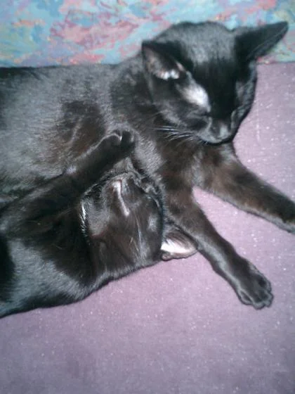 ...Eine Schulter zum Anlehnen...