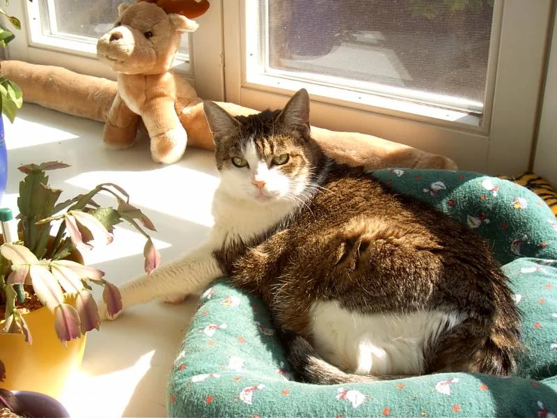 "einmal sonnenbaden bitte"