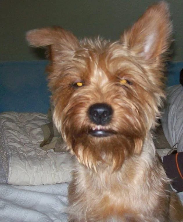 Elly ist ja so Müde die Augen gehen schon im Sitzen zu LOL