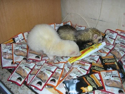 endlich mal ne Futterspende - danke Babsi, Kordi u Martina!