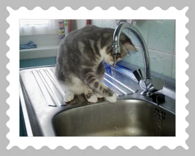 er ist so ein wasser fan